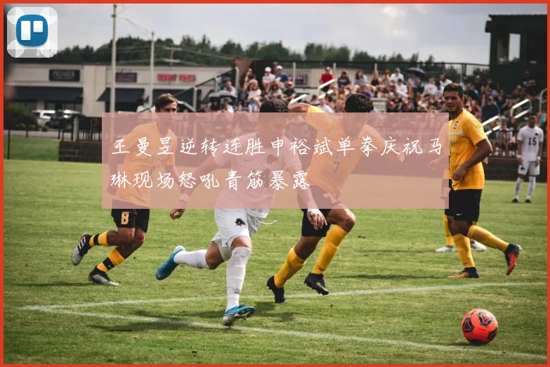 王曼昱逆转连胜申裕斌单拳庆祝马琳现场怒吼青筋暴露