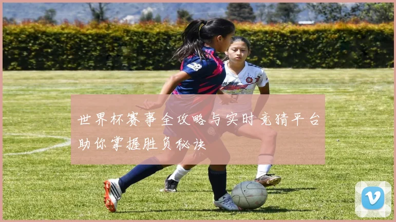 世界杯赛事全攻略与实时竞猜平台助你掌握胜负秘诀