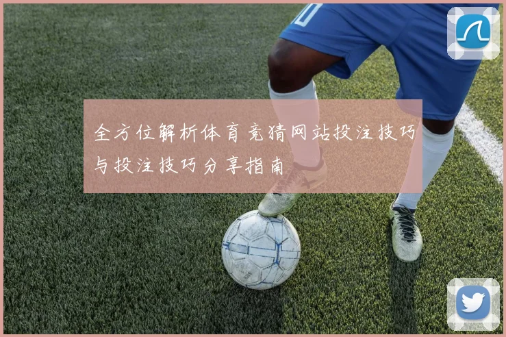 全方位解析体育竞猜网站投注技巧与投注技巧分享指南